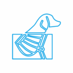 RADIOLOGIA Disegno a linee blu di un cane parzialmente all'interno di una cornice rettangolare, con la cassa toracica e la colonna vertebrale del cane visibili come in una radiografia. Lo sfondo è grigio chiaro.