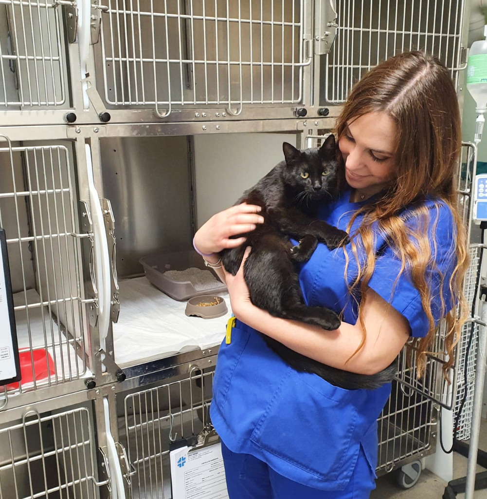 La Dott.ssa Valentina Gri controlla e coccola un gatto nero ricoverato in Degenza presso La Clinica degli Animali, clinica veterinaria a Codroipo